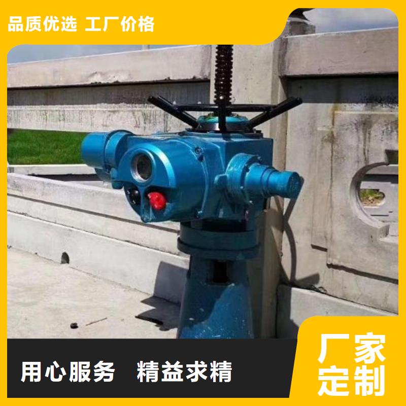 手电两用螺杆式启闭机欢迎咨询