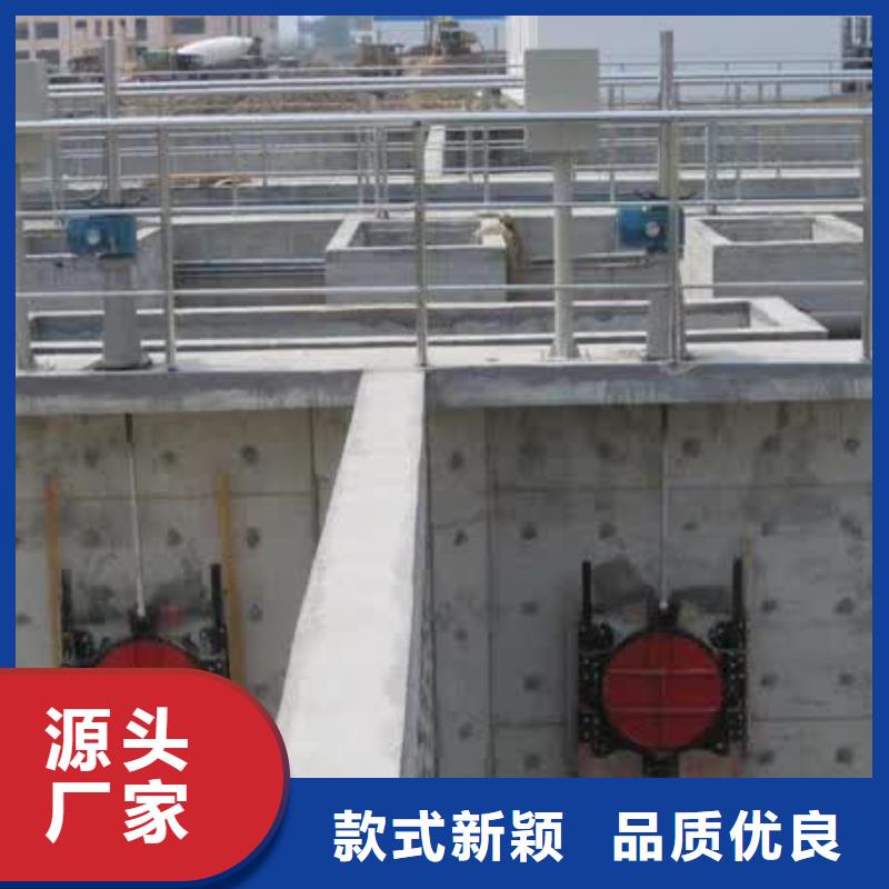 【螺杆启闭机球墨铸铁闸门符合标准】