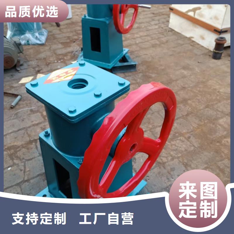 【螺杆启闭机球墨铸铁闸门符合标准】