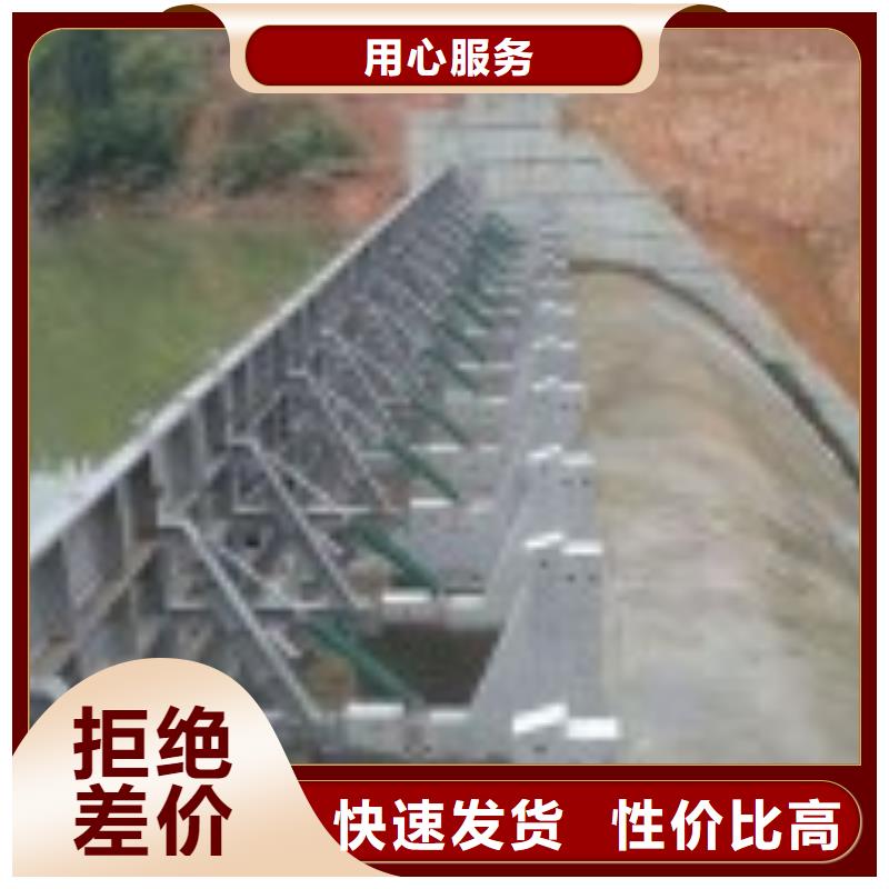 钢制钢制闸门