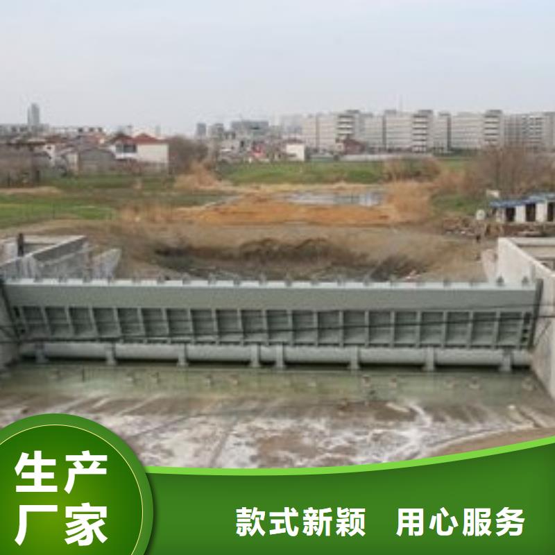 翻板闸门,螺杆启闭机原厂制造