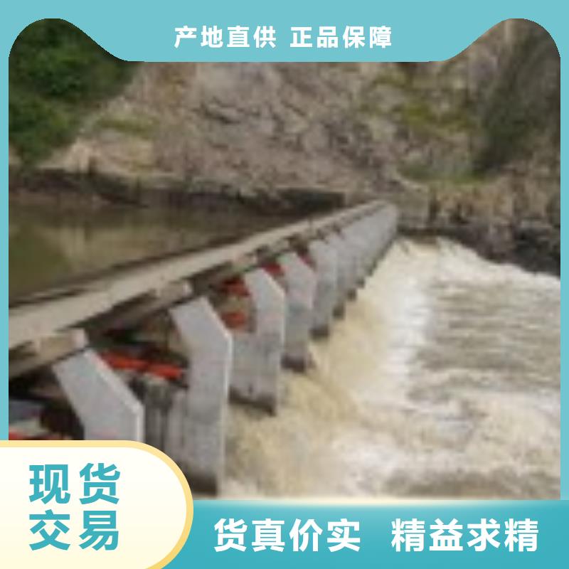 翻板闸门,螺杆启闭机原厂制造