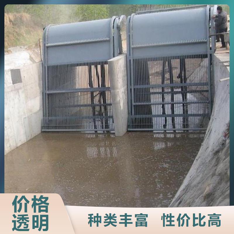 清污机扇形闸门专注细节使用放心