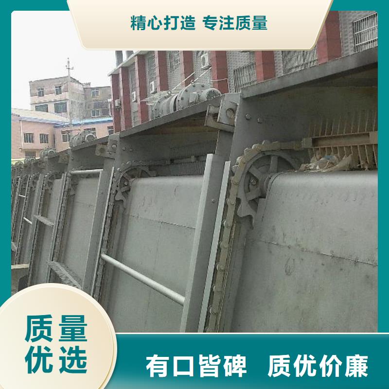 清污机扇形闸门专注细节使用放心