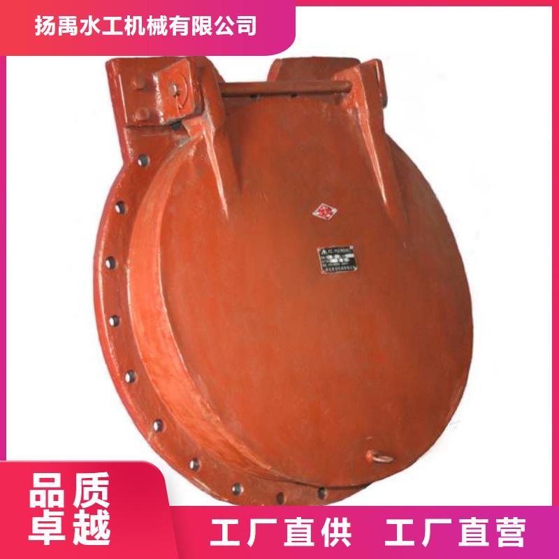 拍门钢制闸门多年实力厂家