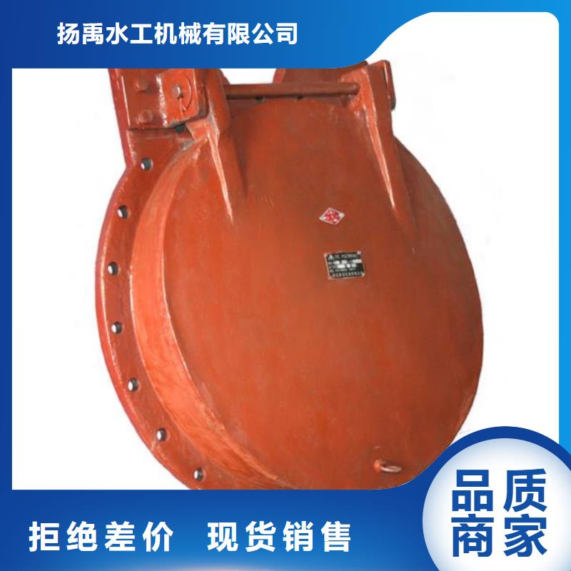  拍门专心专注专业