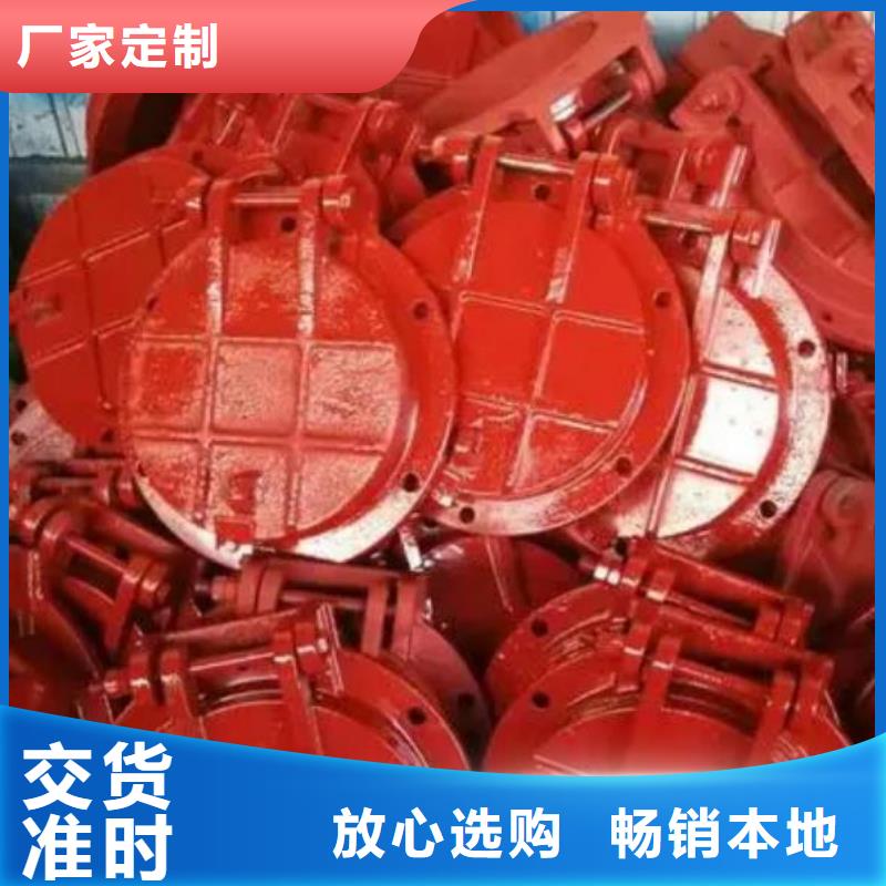 拍门拦污栅厂家采购