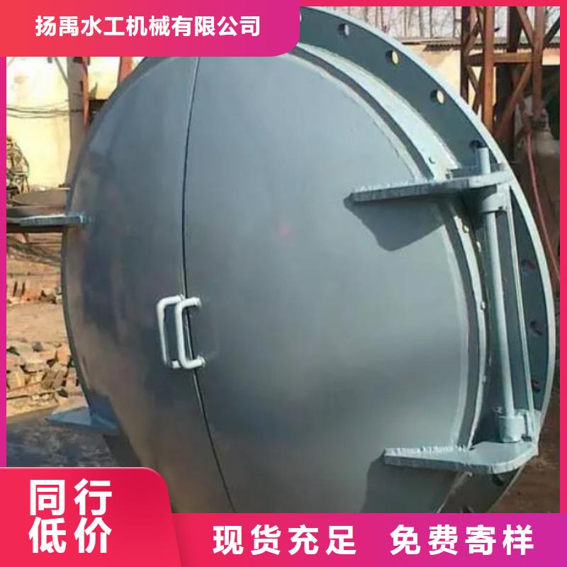 拍门钢制闸门多年实力厂家