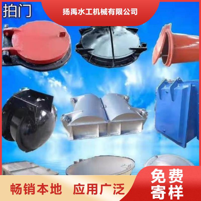  拍门专心专注专业