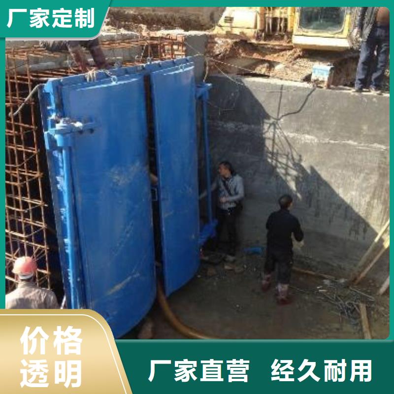拍门钢制闸门多年实力厂家