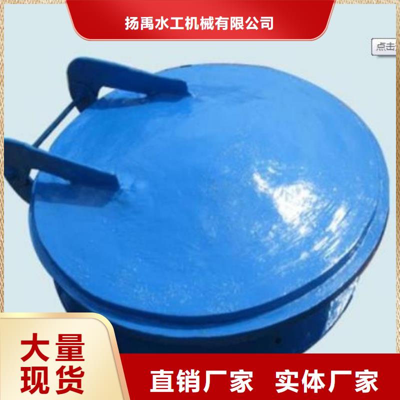 拍门钢制闸门多年实力厂家