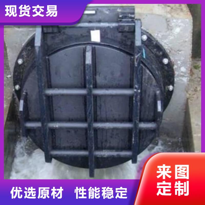 拍门钢制闸门多年实力厂家