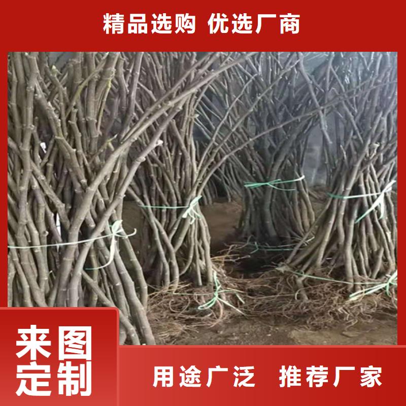 【无花果】酥脆一号安装简单