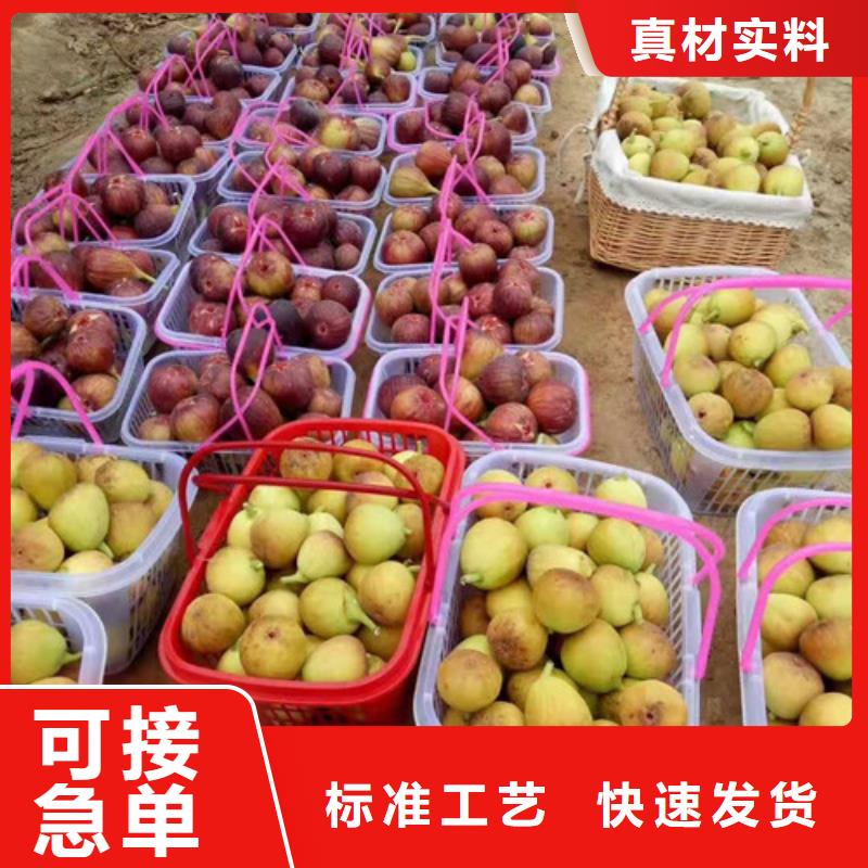【无花果】酥脆一号安装简单