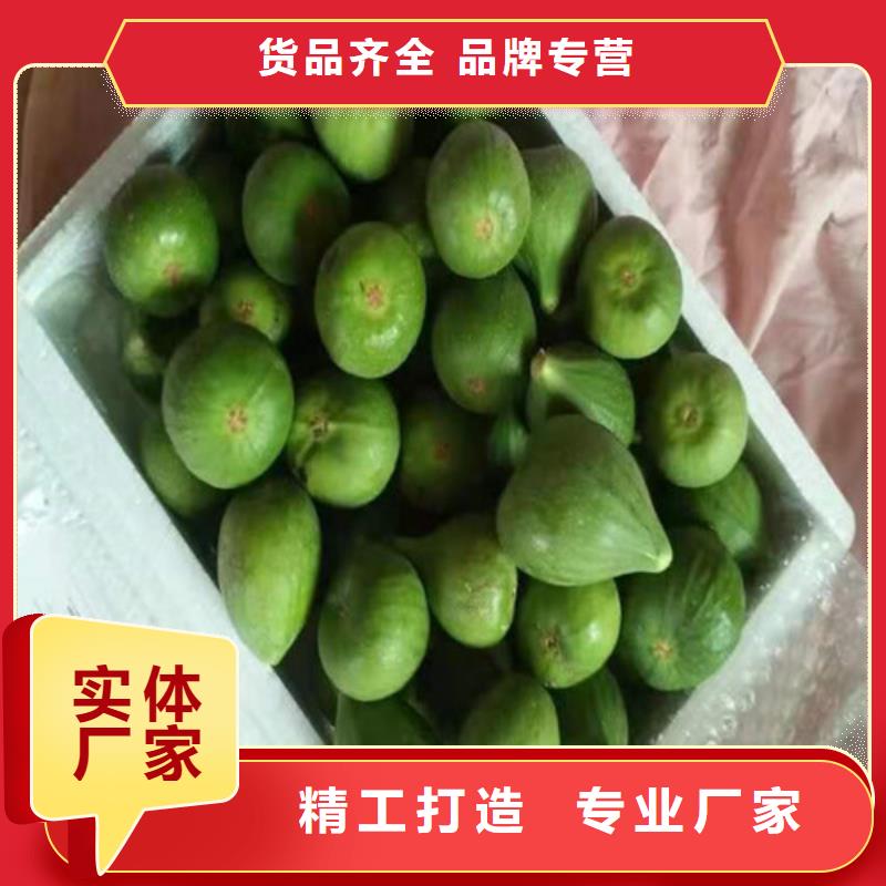【无花果】酥脆一号安装简单