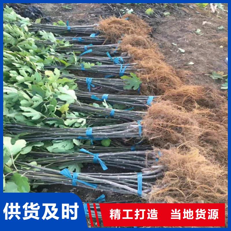【无花果】酥脆一号安装简单