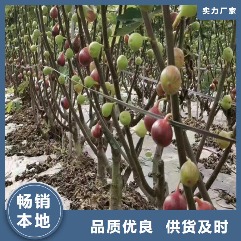 【无花果】酥脆一号安装简单