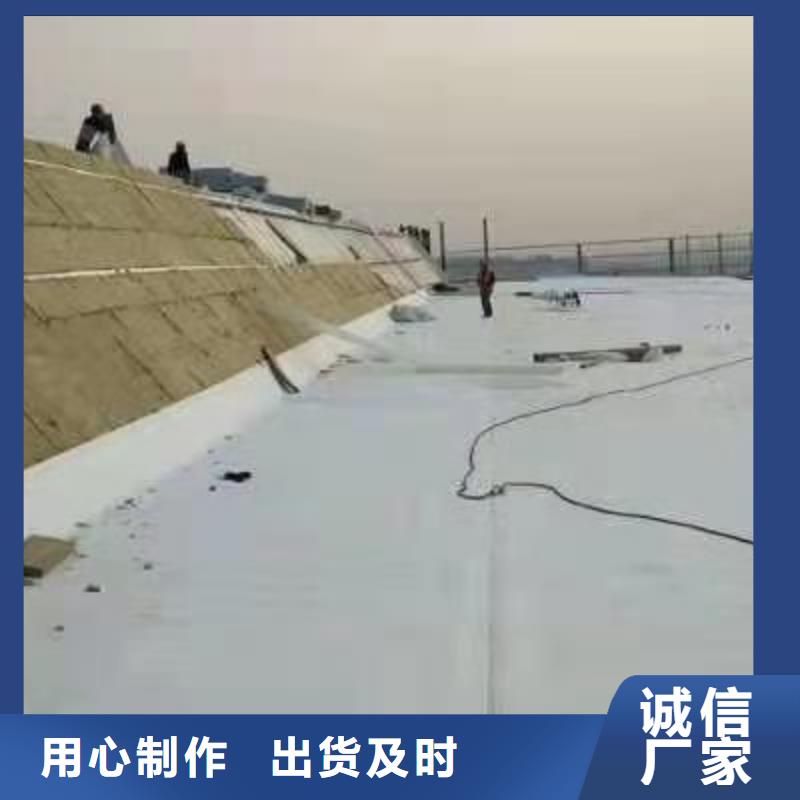 自粘TPO卷材施工标准化