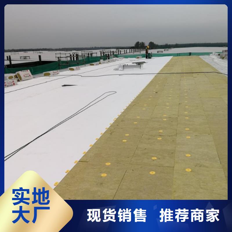 TPO专业专业