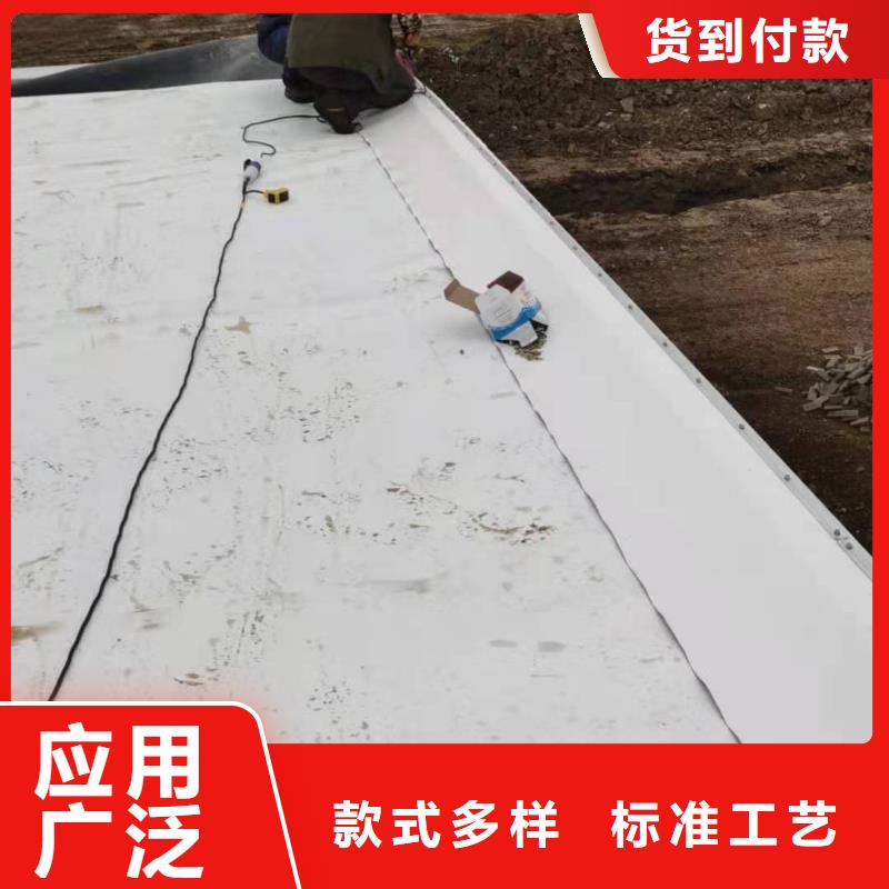 PVC,PVC防水卷材施工队严选好货