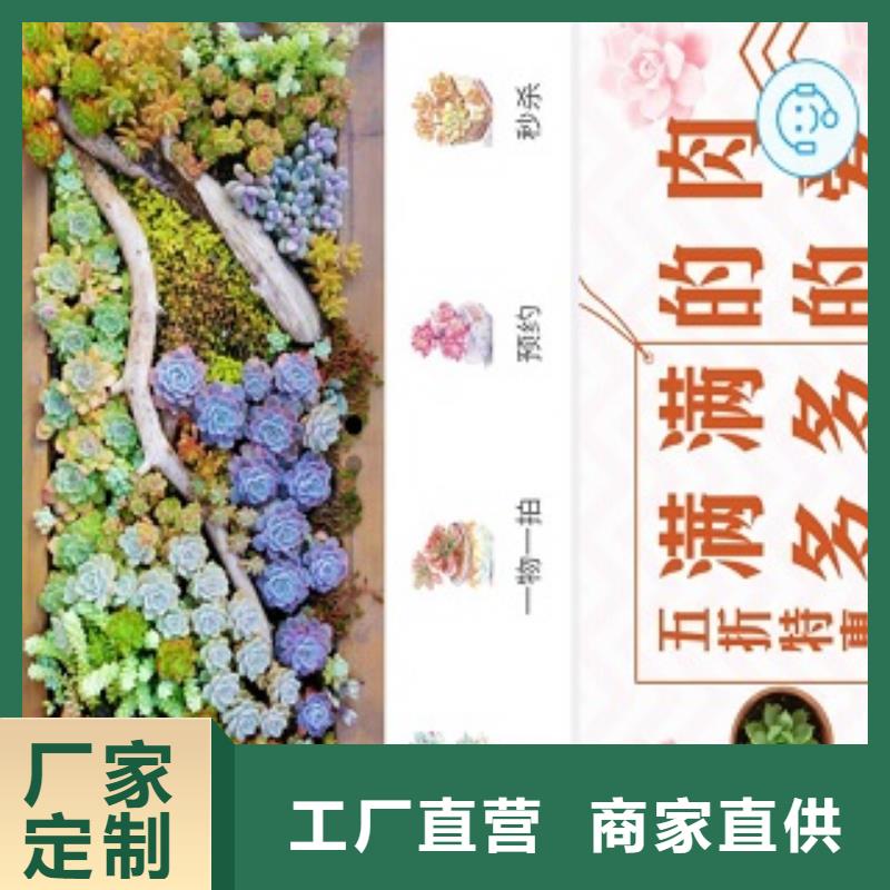 小程序制作小程序区域代理招商我们更专业