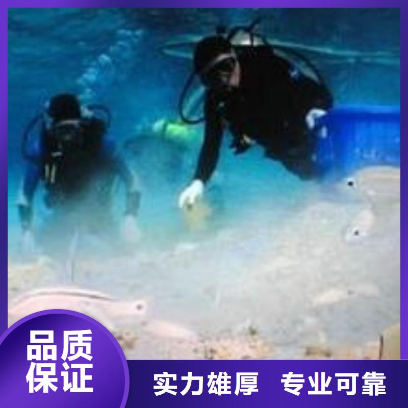 水下作业-水下救援机器人实力商家