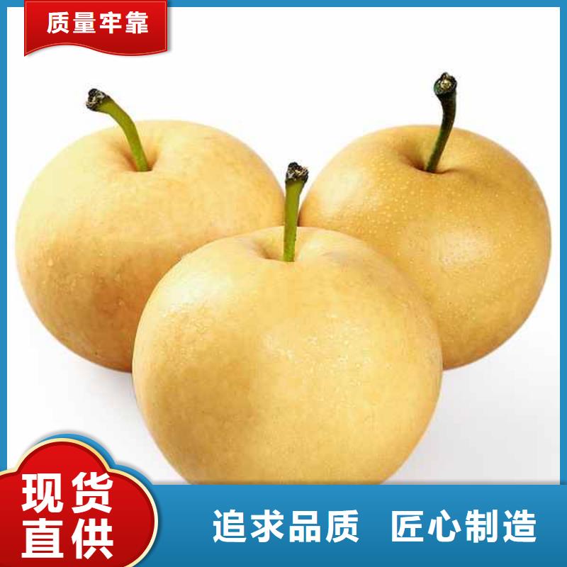 秋月梨树苗一颗多少钱