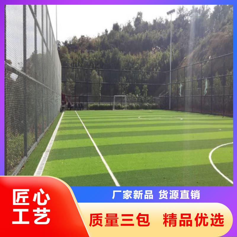 珠晖仿真人工草坪直供厂家