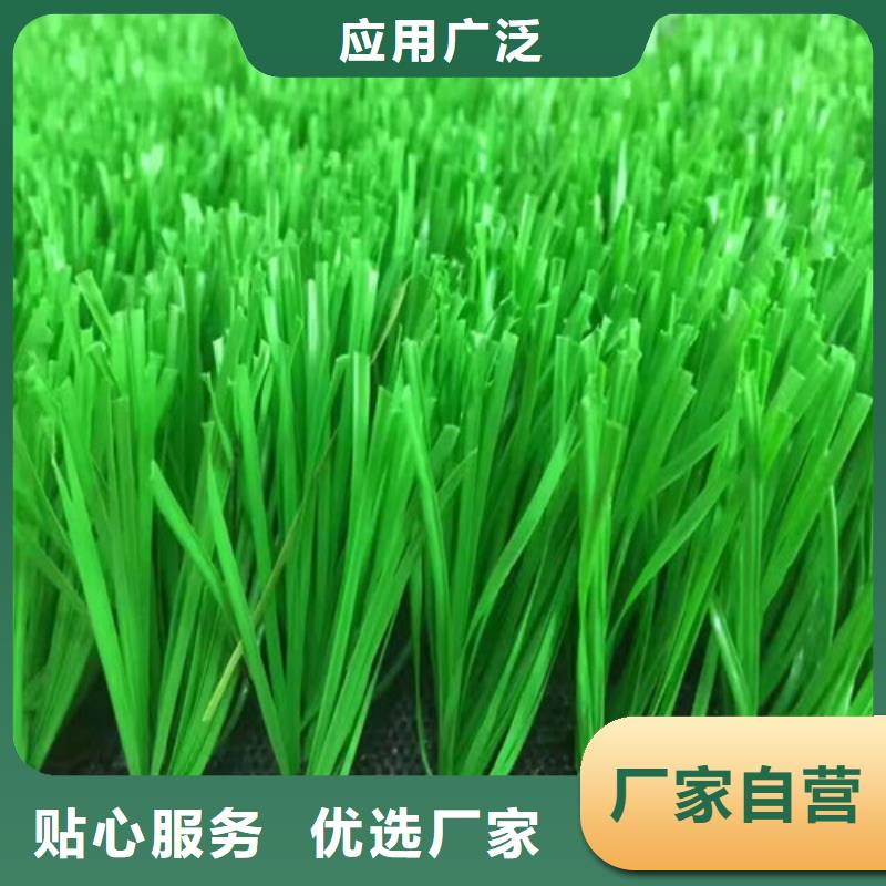 姑苏编织人造草坪上门服务