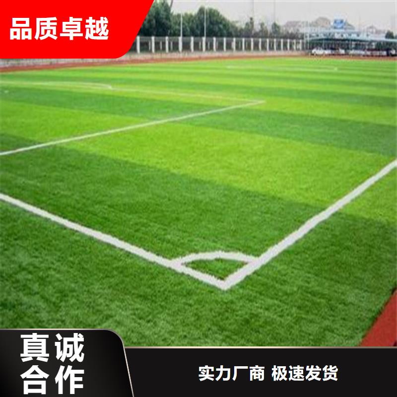 人造草坪_体育场塑胶跑道讲信誉保质量