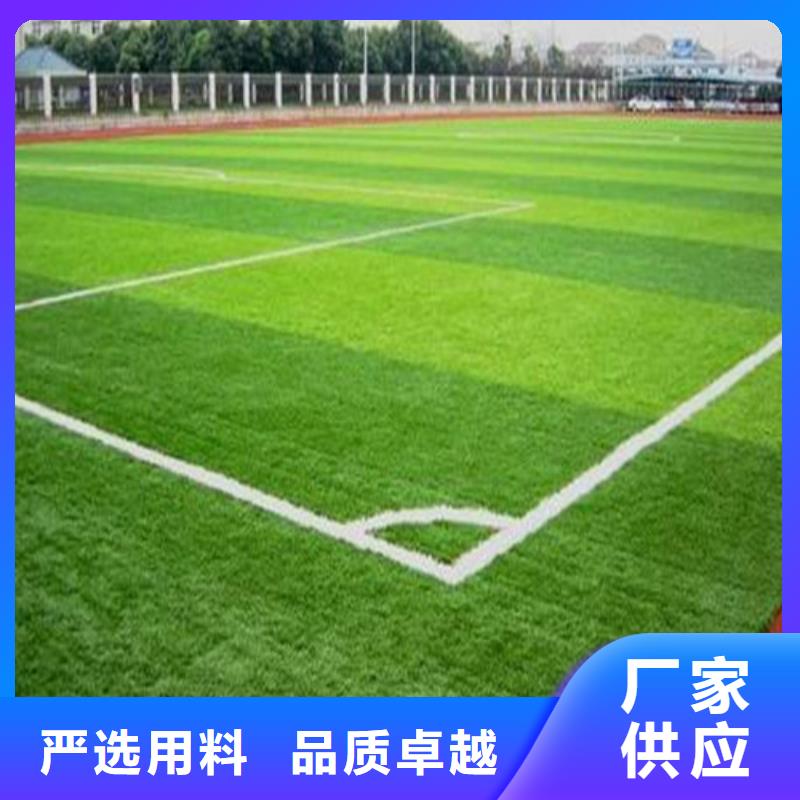 珠晖仿真人工草坪直供厂家