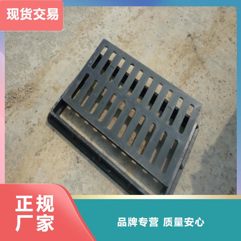 球墨铸铁单篦300*500基本介绍