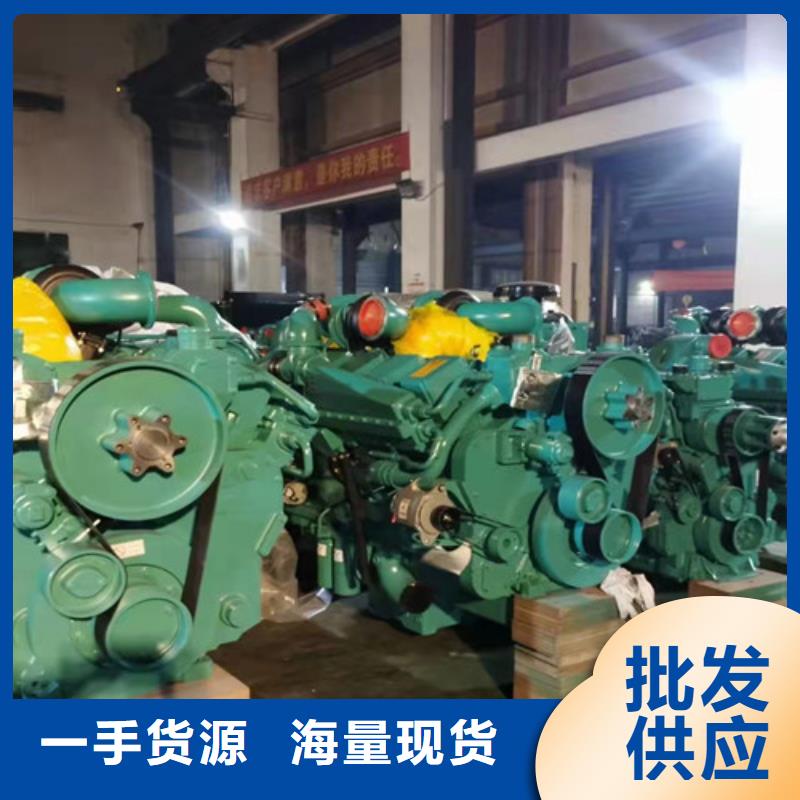 柴油发电机组出租出租发电机厂家经验丰富