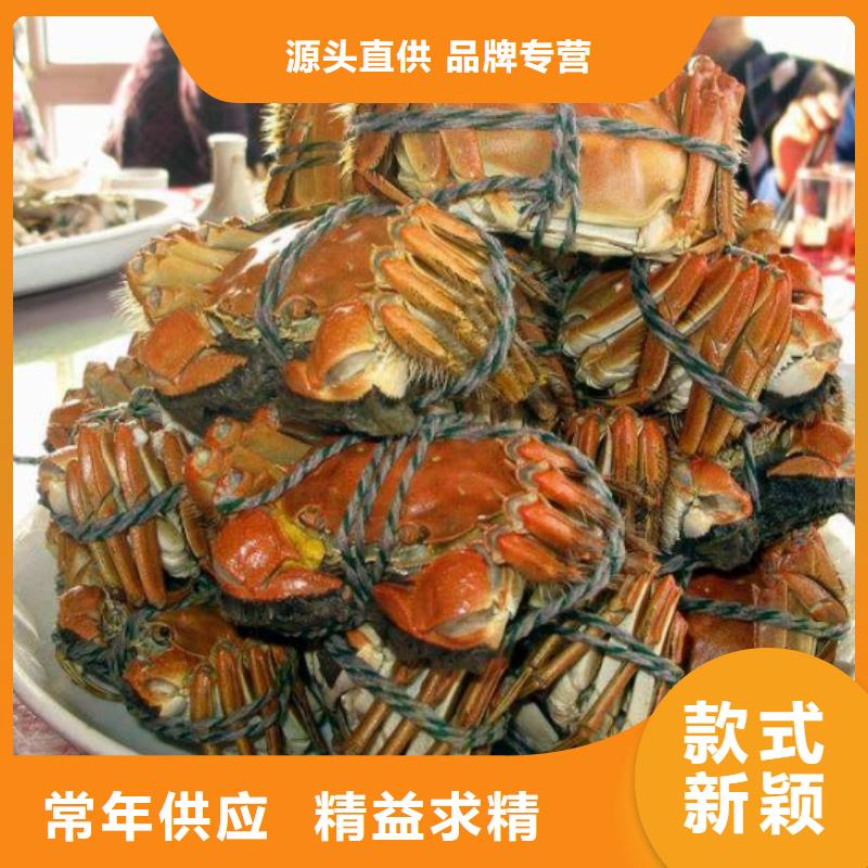 螃蟹现货即发