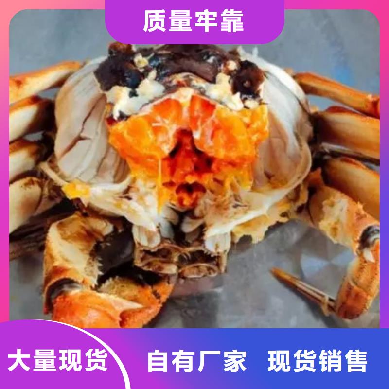 谢家集区阳澄湖吃大闸蟹哪里好