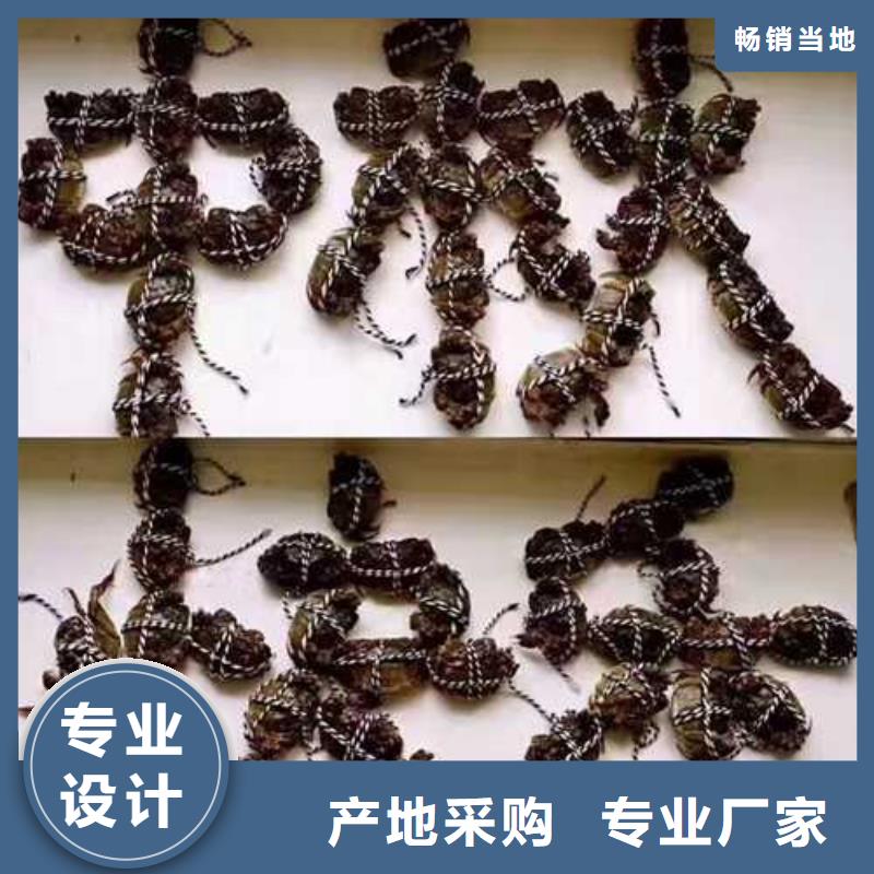 大闸蟹物超所值