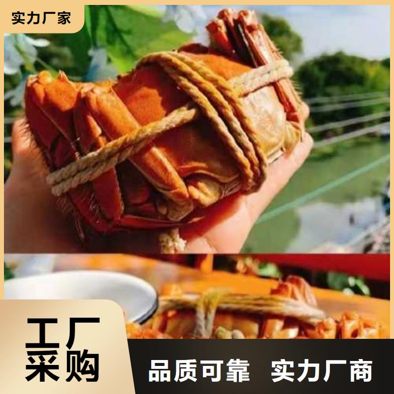 谢家集区阳澄湖吃大闸蟹哪里好