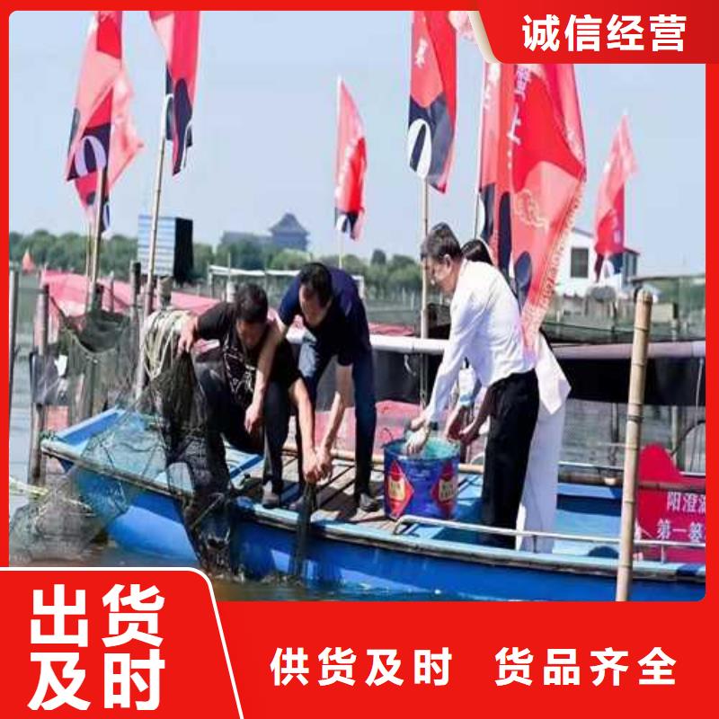 井陉矿区阳澄湖大闸蟹
