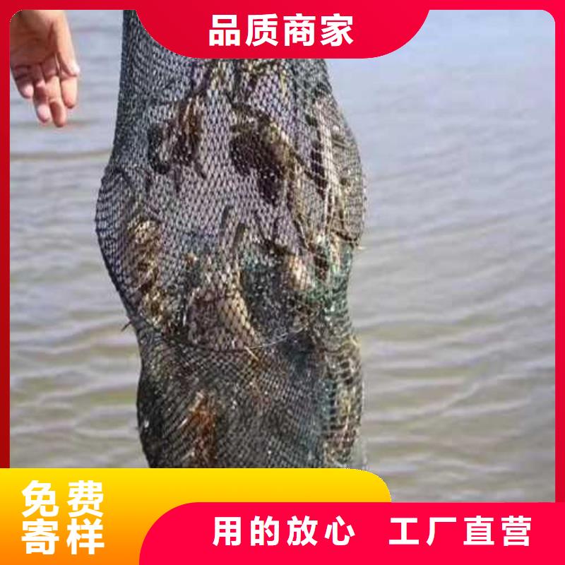 阳澄湖农家乐哪家好