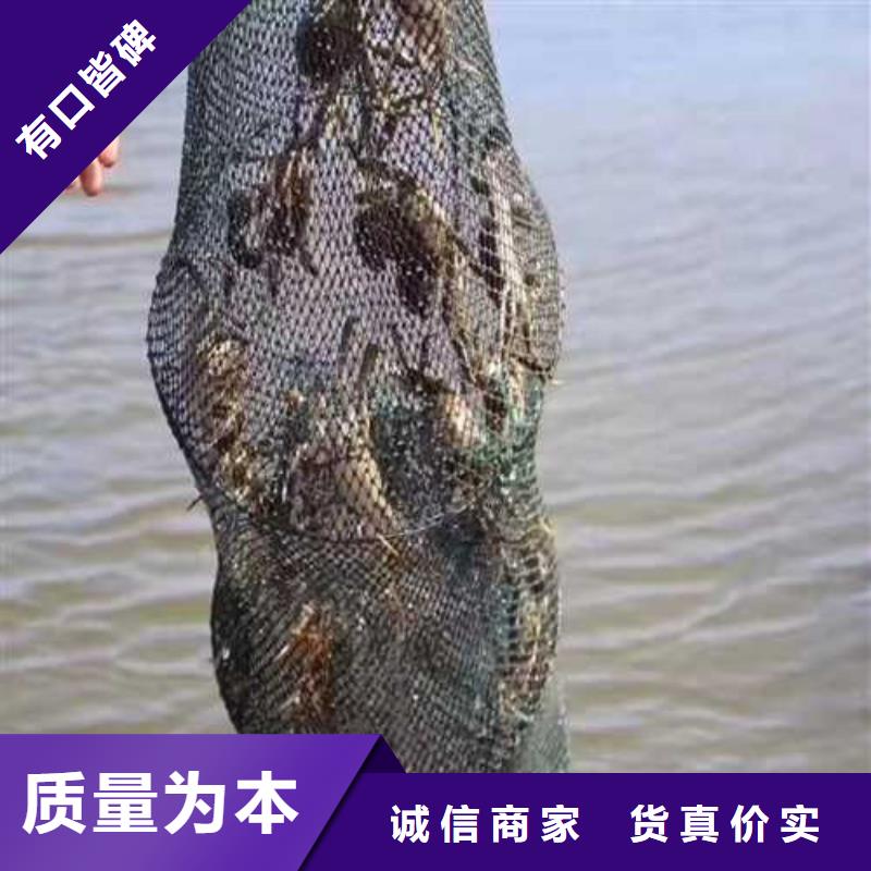 忠县阳澄湖吃大闸蟹哪里好