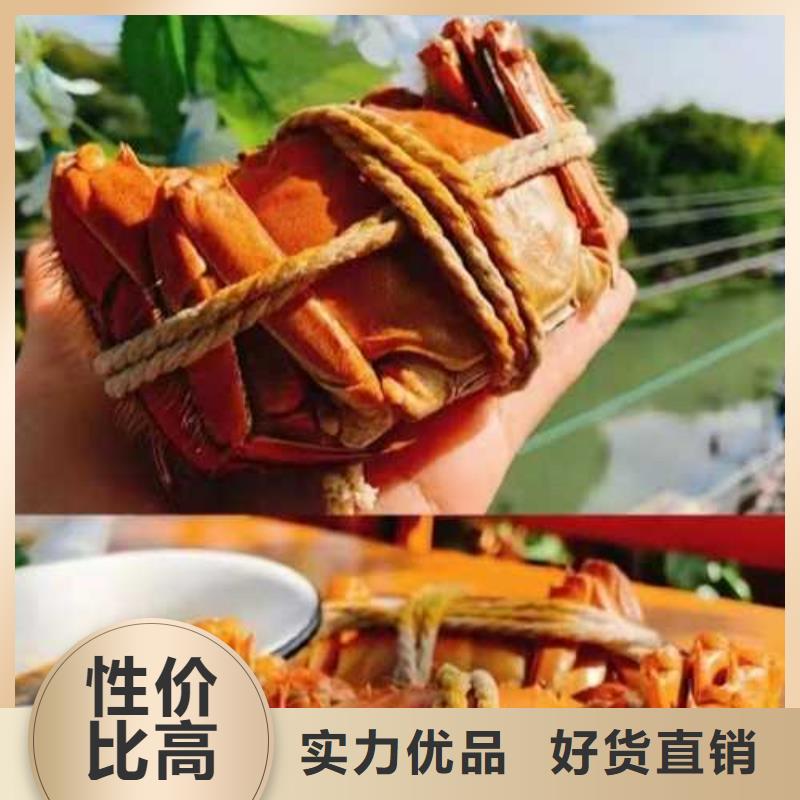 阳澄湖大闸蟹质量有保证