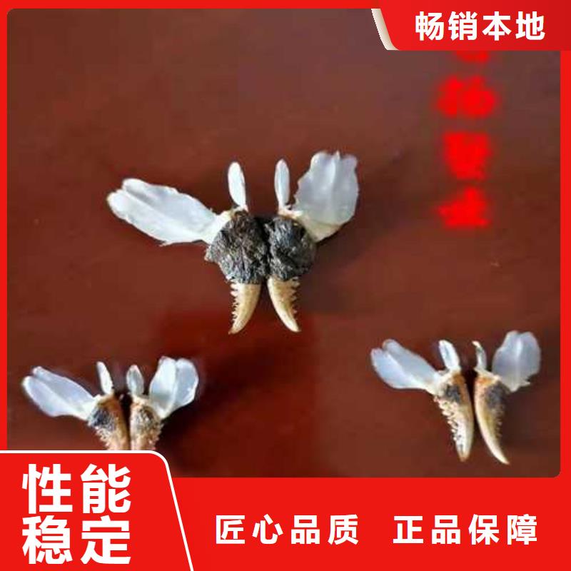 大闸蟹-精选厂家