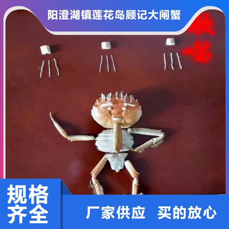八公山区阳澄湖大闸蟹