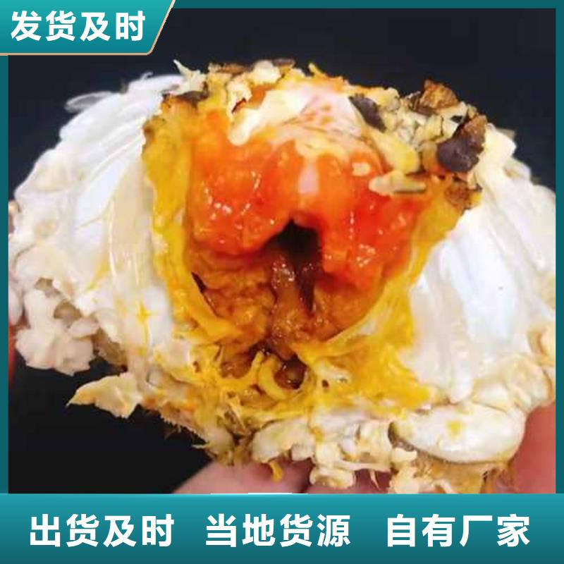 红膏大闸蟹鲜活特大