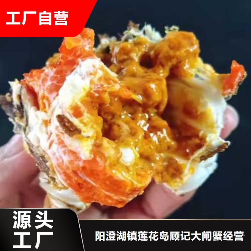 阳澄湖大闸蟹质量有保证