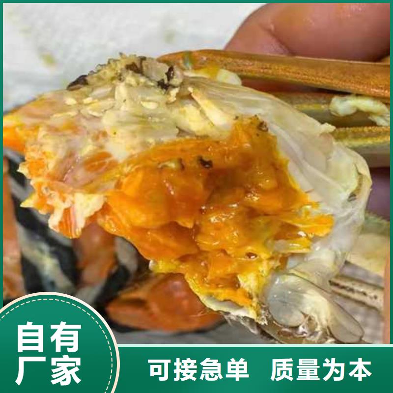 螃蟹现货即发