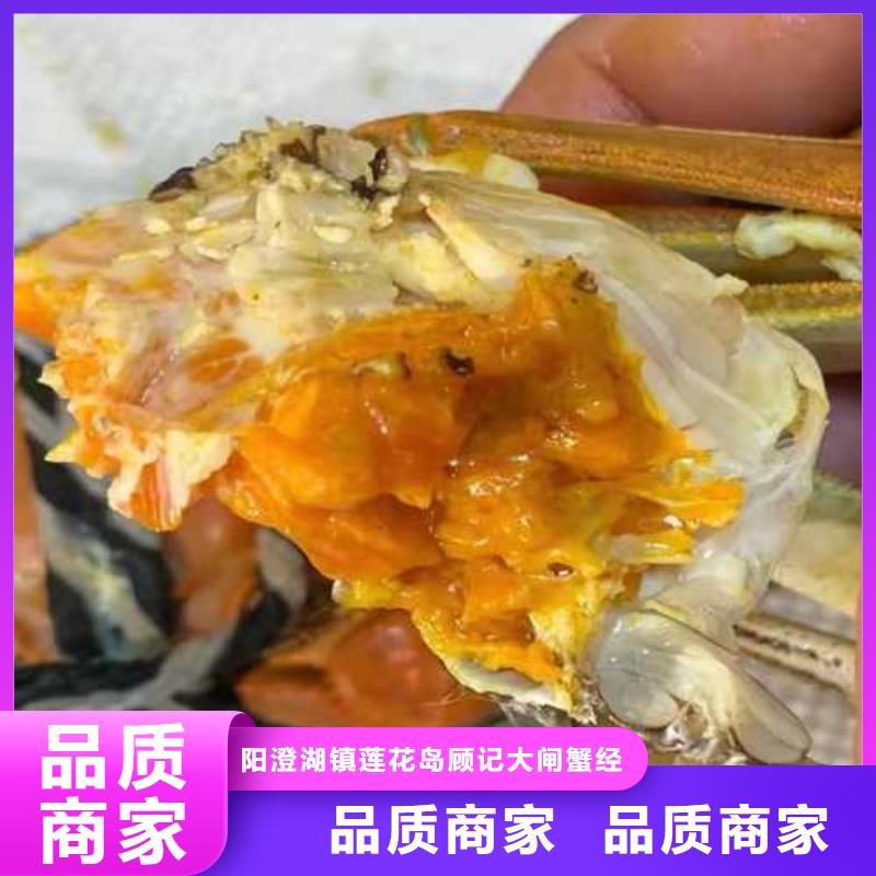 谢家集区阳澄湖吃大闸蟹哪里好