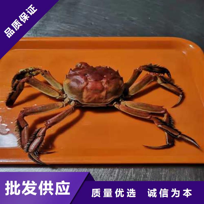 八公山区阳澄湖大闸蟹