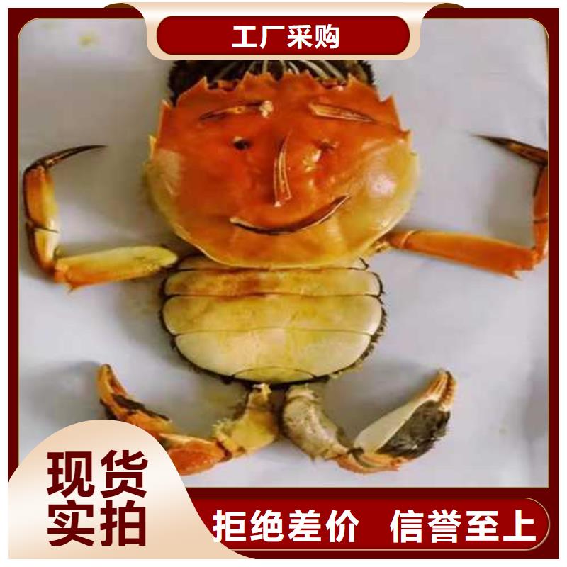 井陉矿区阳澄湖大闸蟹