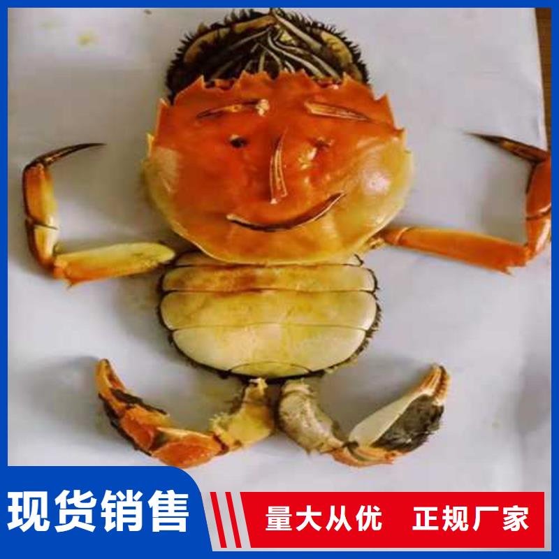 阳澄湖大闸蟹鲜活特大